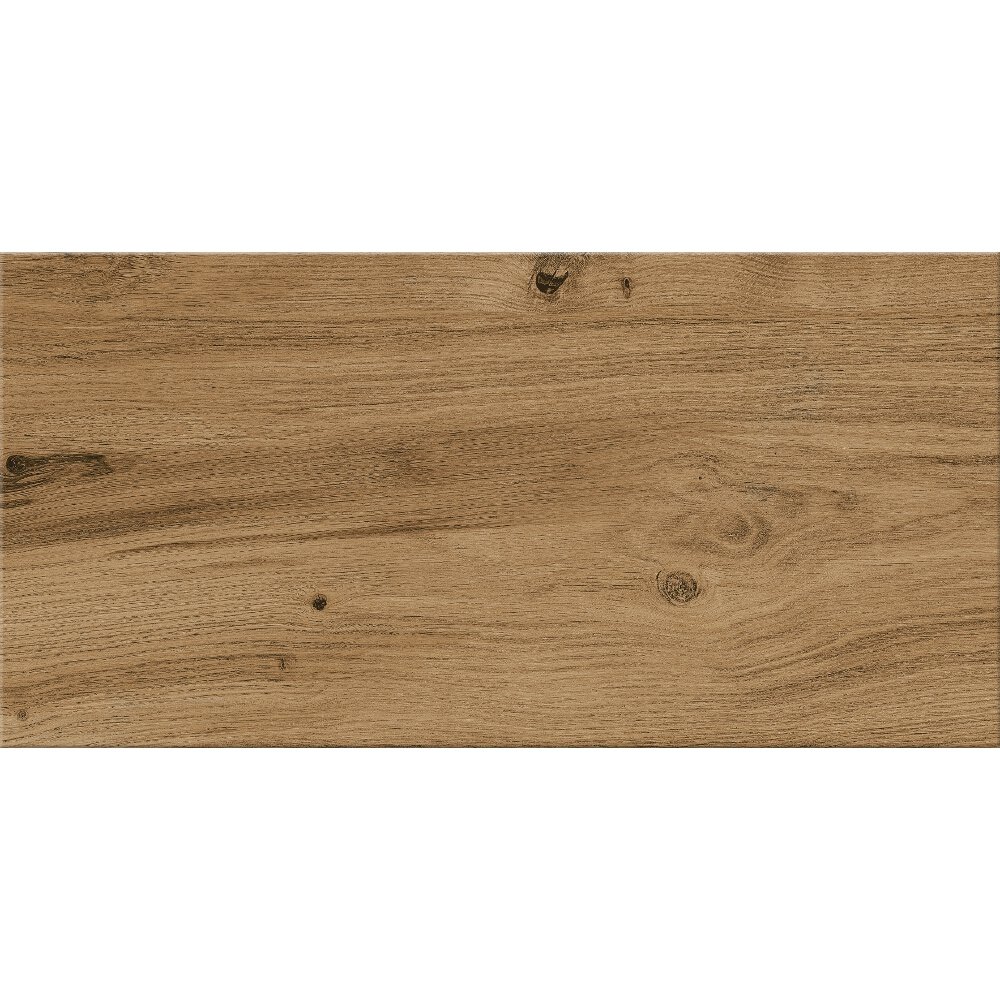DLAŽBA ASHVILLE BROWN MAT 29,7X59,8 (II. JAKOST) DLAŽBA ASHVILLE BROWN MAT 29,7X59,8 (II. JAKOST)