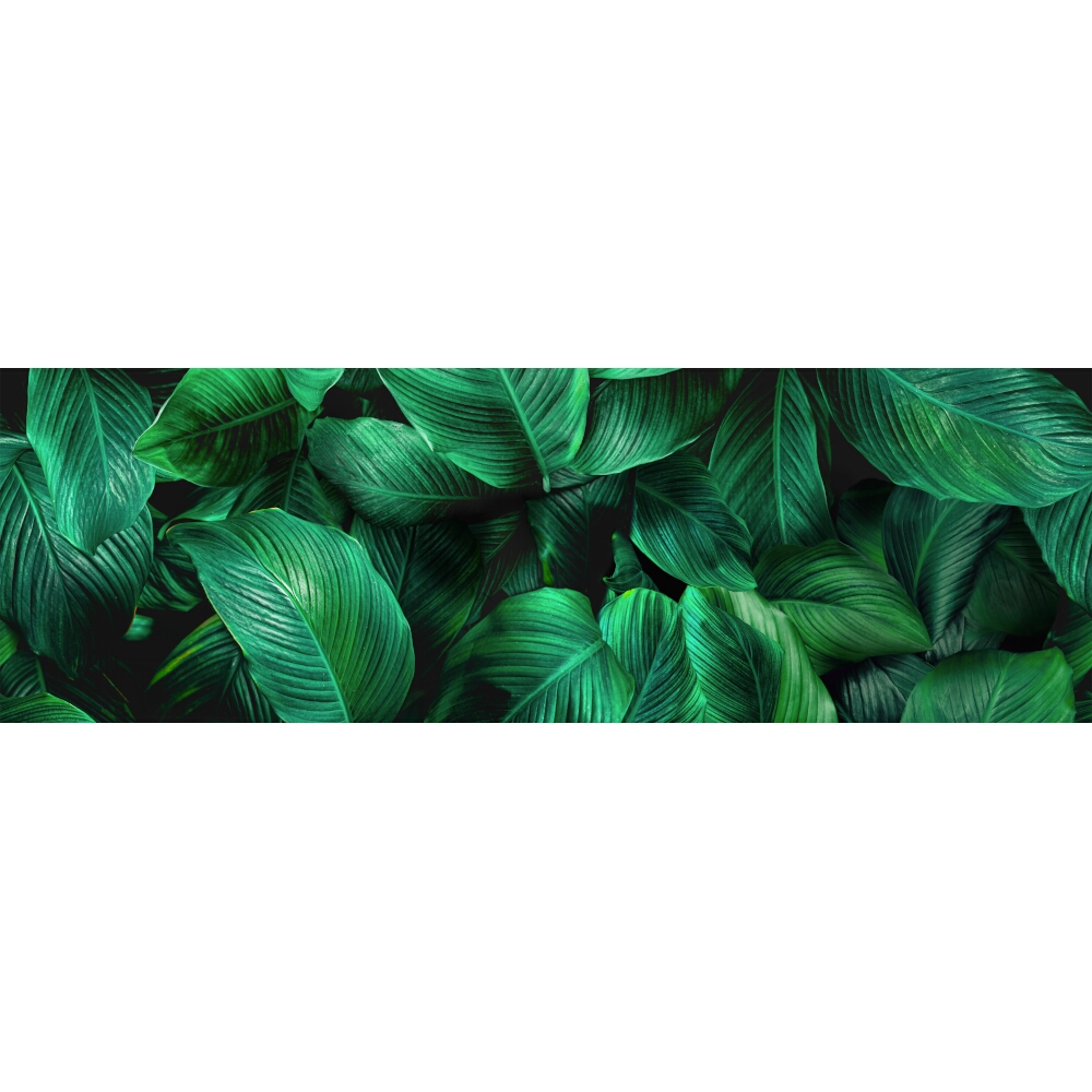 OBKLAD ALFA-CER DEK NEXT FICUS A GLASS 29X89
