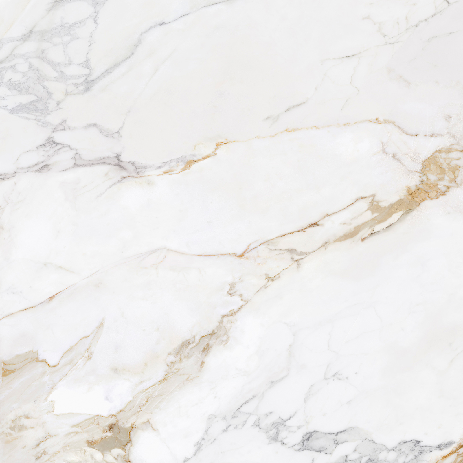 DLAŽBA ECOCERAMIC MARSHALL CALACATTA GOLD MAT 120X120